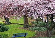 啄木鸟酒店实习 核心是啄木“支持与规划”