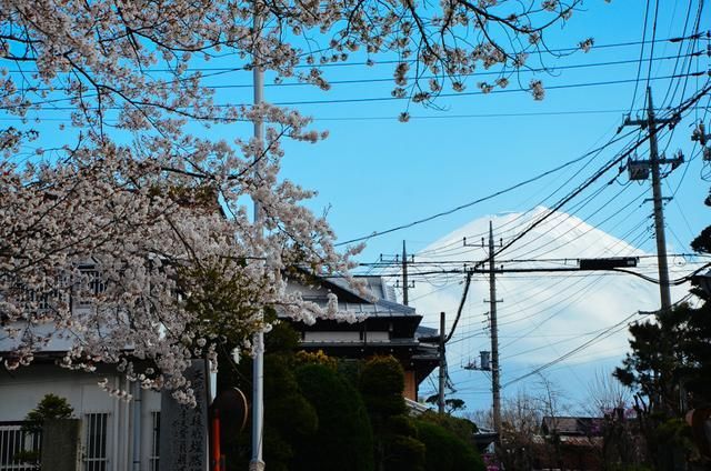 久久精品无码人妻无码AV蜜臀