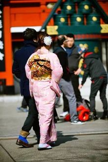 雏 育雏:鸟类喂养幼鸟