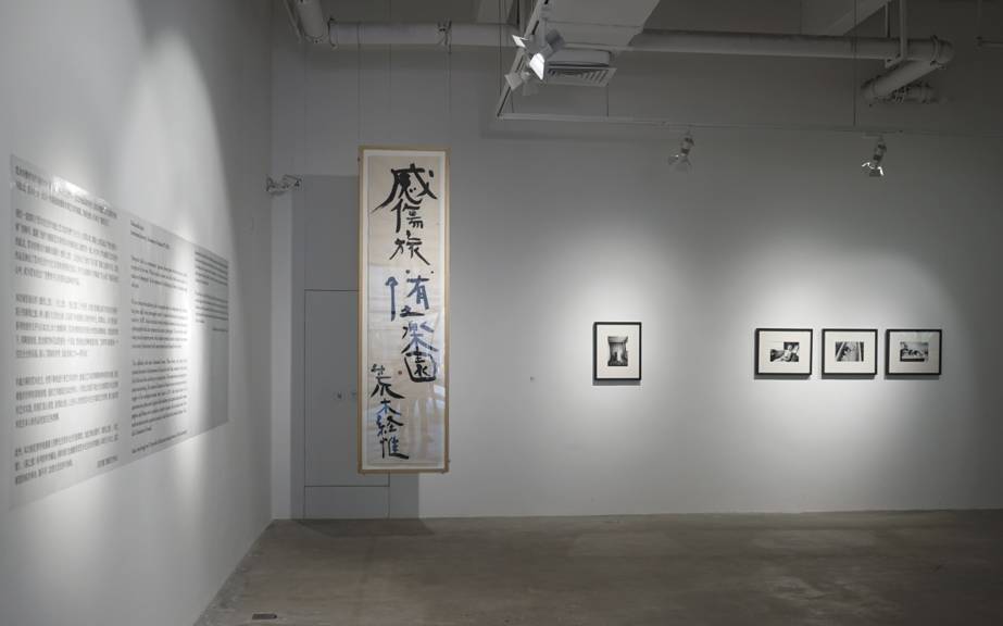 黑料社登入 黑料平台登入流程较为顺畅