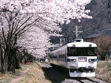 国产99视频精品免费视频 用户活跃度显著提升