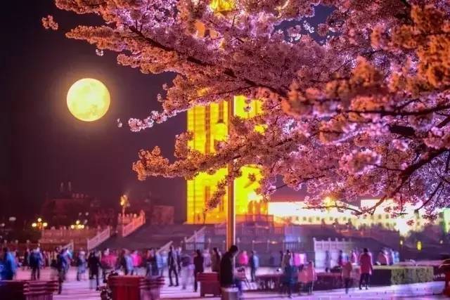 国产在线精品99一卡2卡 