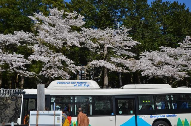 谭晓彤独家新年重磅