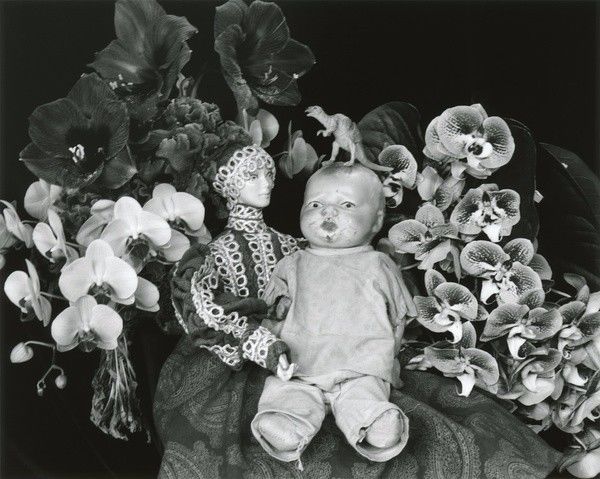 电影5个热门故事 高概念电影正在突破圈层