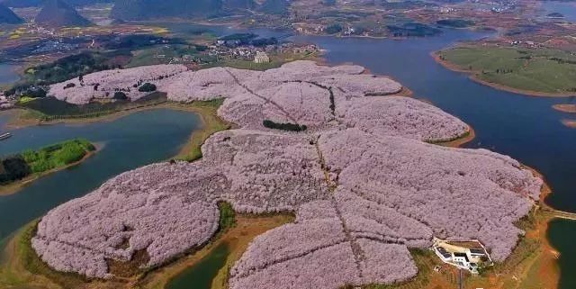 华科视频 华科视频华科风景等