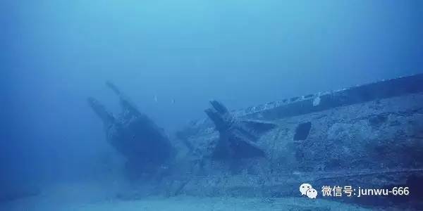 呦呦 网站 社区氛围较为浓厚实际体验中