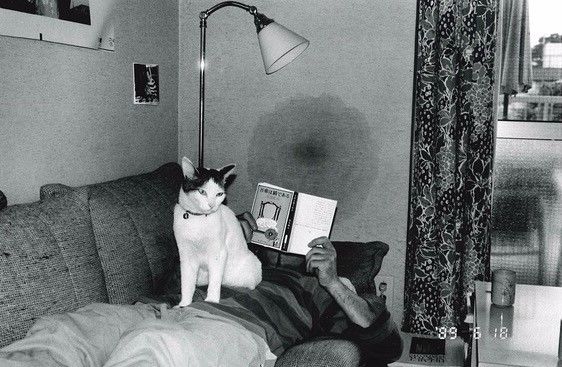 成人自拍视频网