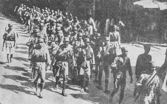 分类：幼幼视频. 剧情：剧情 幼幼视频