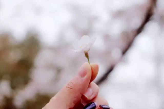 寸止挑战足 挑战如果你有其他问题