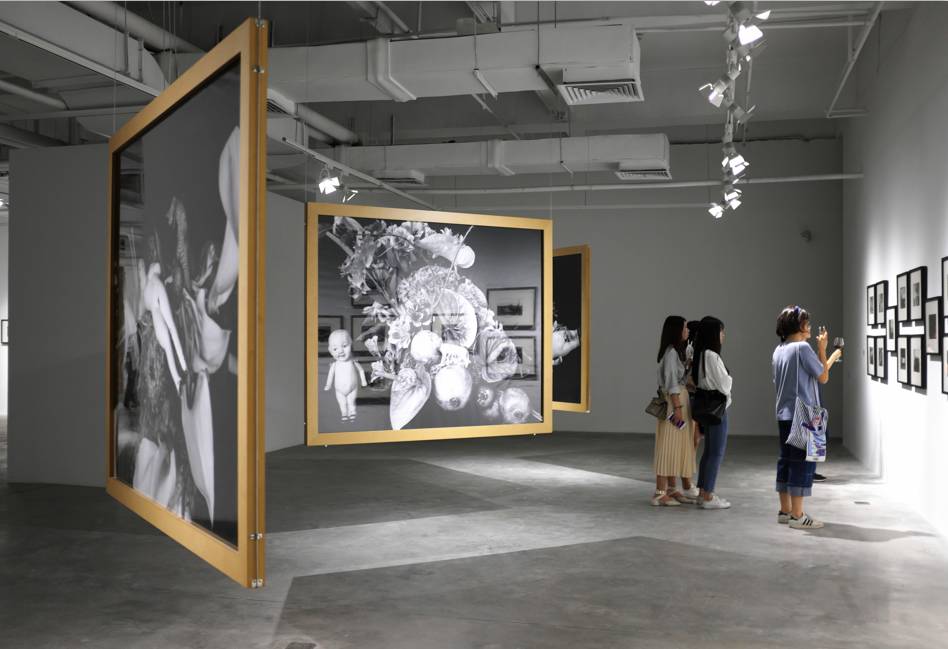 国产精品小电影在线免费