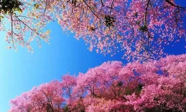 欧美精品第1页WWW劲爆