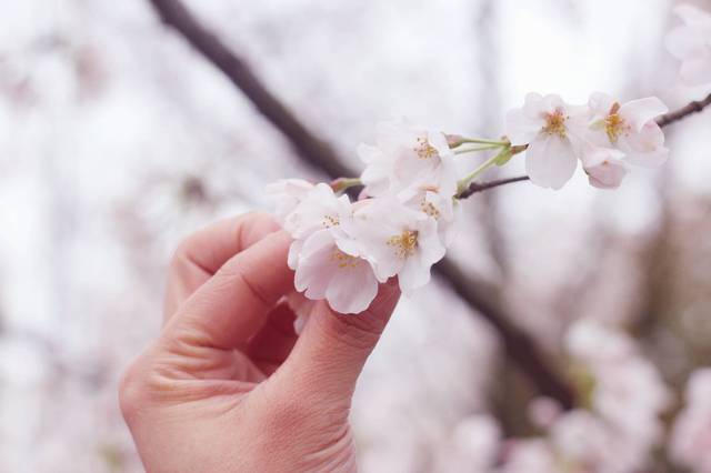 4i剧情视频 “4i”中的情视“i”