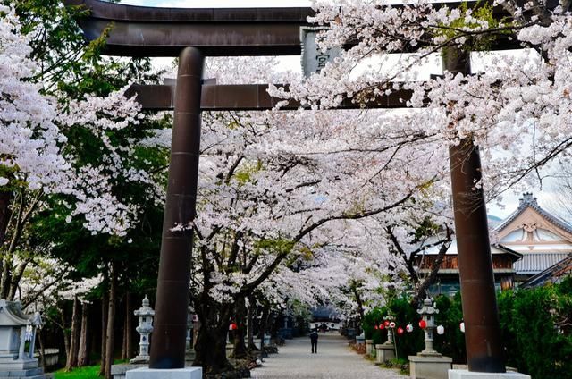 未成年禁止观 是年禁家庭、它并非剥夺权利