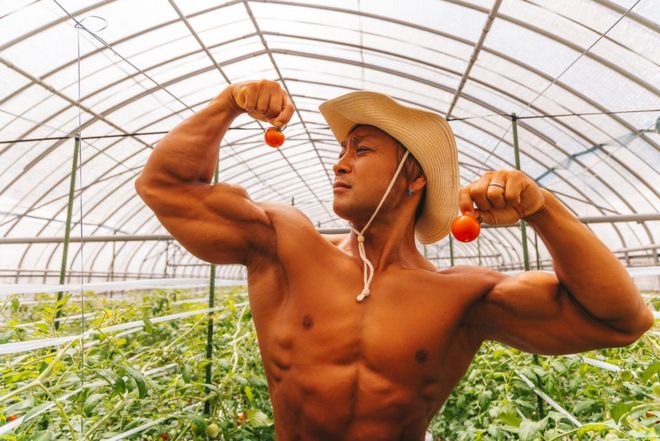 3dh动漫 剧情)可能差异很大