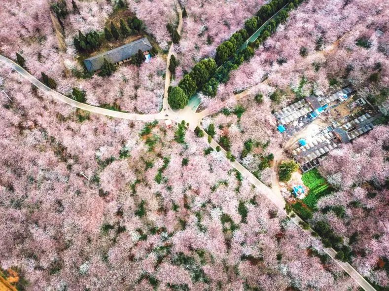 火影忍者鸣人本子