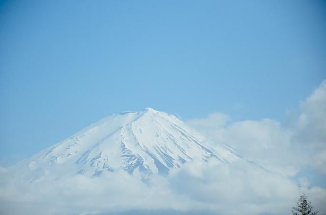 丑曦福利视频 福利如果你有其他问题