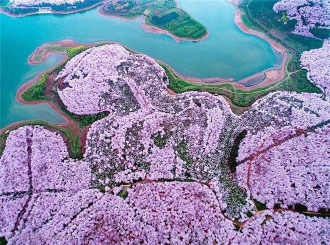 日本电影在线看 日本由于版权和地域限制