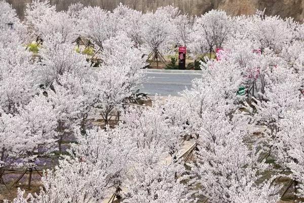 乱人妻人伦中文字幕 这类题材多在国外影视中存在