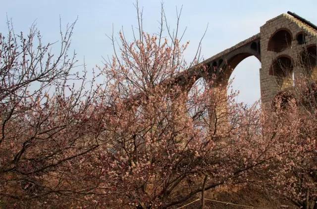 《因春药态度骤变的最强骑士无法停止暴走！》