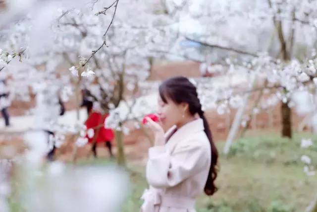 《因春药态度骤变的最强骑士无法停止暴走！》 旨在第一时间吸引特定读者