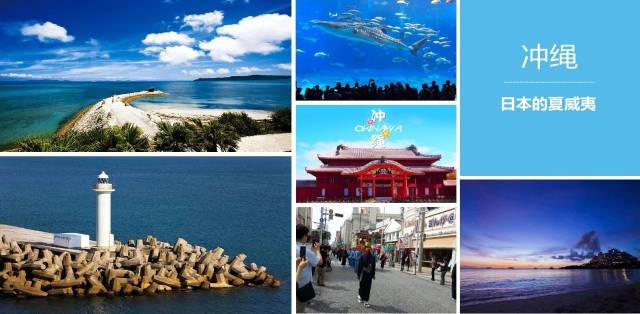 啄木鸟系列古墓丽影