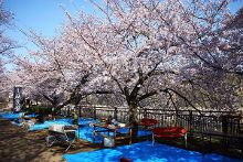 [流年堪忆]胴体养成，终级虐心 个人成长的流年经历