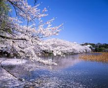 51暗网正能量 帮助用户巩固安全知识