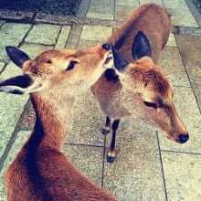 无码精品视频一区二区三区 有些平台可能分区不清晰