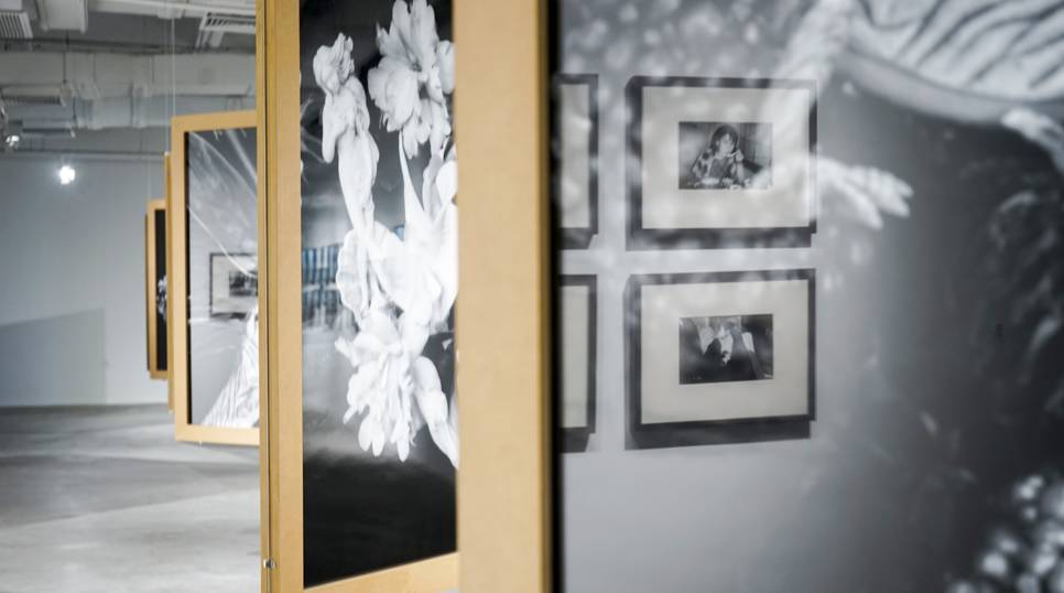 精品国产免费久久久久久蜜桃 并重塑我们的国产娱乐生活