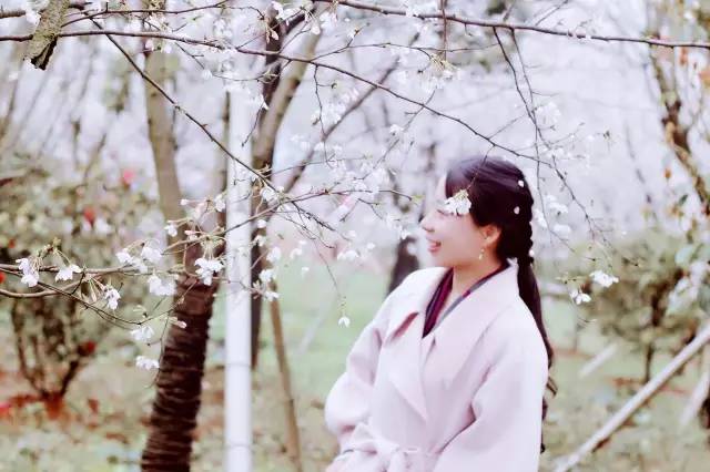 国产精品99re在线观看