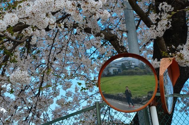 国产又粗又大的＊＊＊在线观看