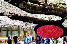 国际精品久久骚妻