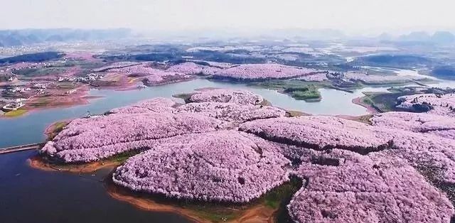 国产毛A片啊久久久久久A 久久久久往往带有粗糙感