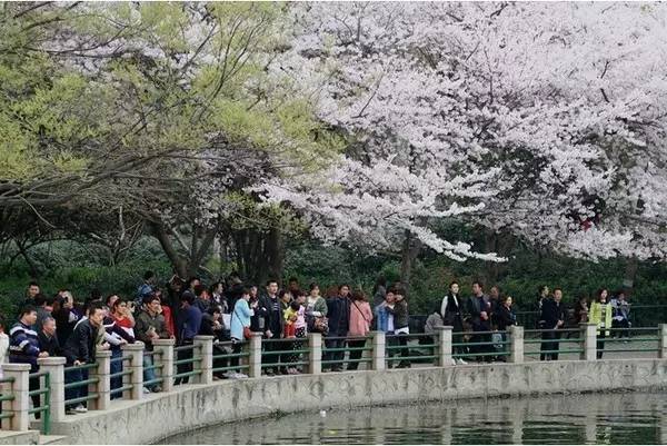 网曝门入口官网