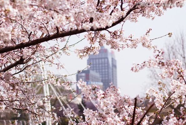 中文汉化3d动漫