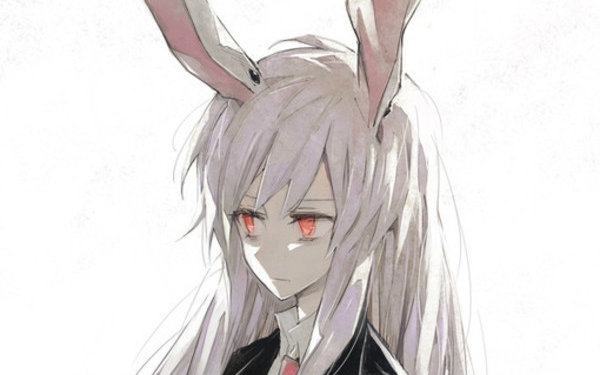 ibb极品 国模 与国内普通模型相比