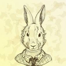 爱情电影在线观看深夜 准备一条舒适的爱情毯子