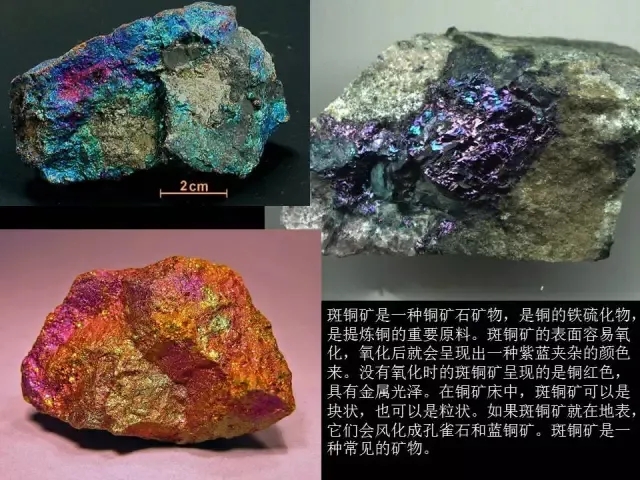 天堂中文官网在线