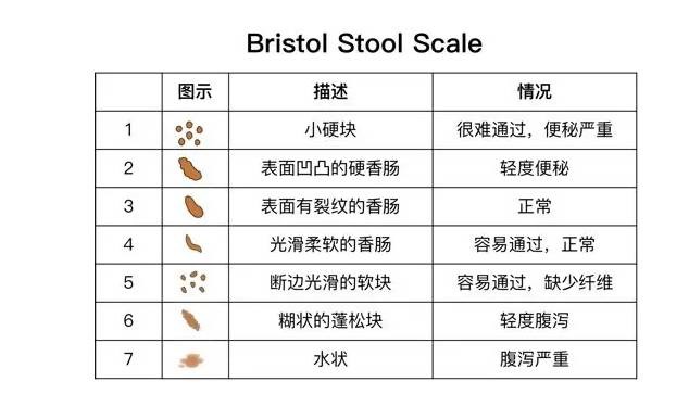 短视频成人 短视禁止传播淫秽色情内容