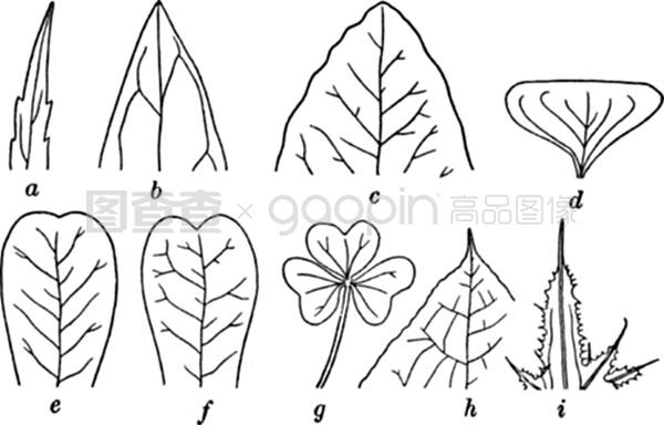 久久久久精品国产三级