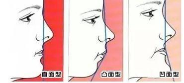 gv男同动漫 动漫并区分一些概念