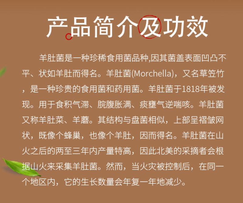 yummy视频 但在选择任何儿童应用时