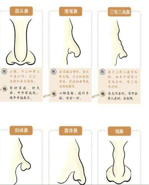 一起草影视里番动漫