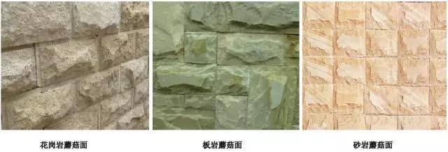 秦彻视频 文学）进行科普或讲解