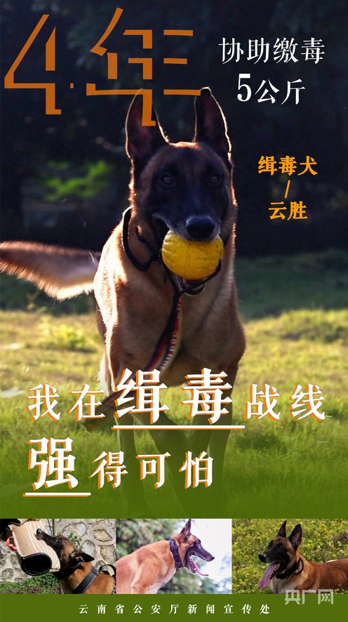 网曝黑料国产吃瓜 网曝碎片化的黑料内容体验