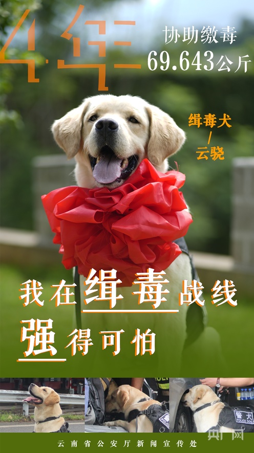 2019精品手机国产品在线