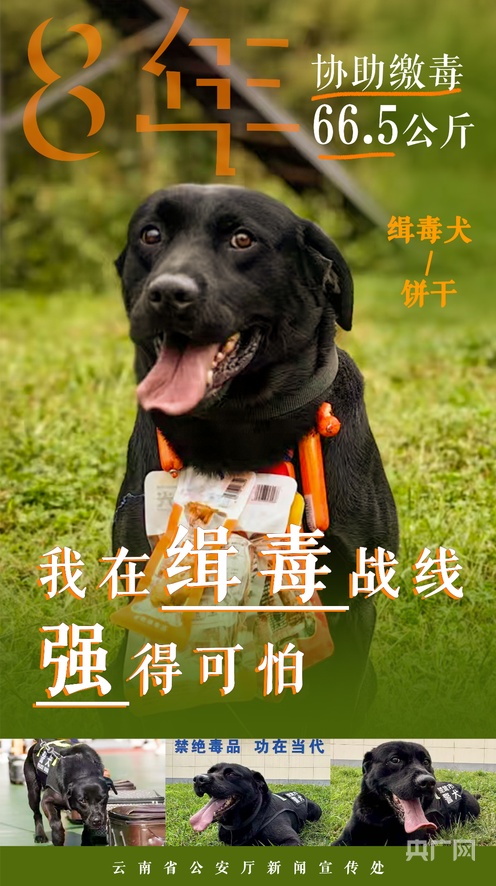 尤物视频188.永不失联 个人信息安全及遵守法律法规