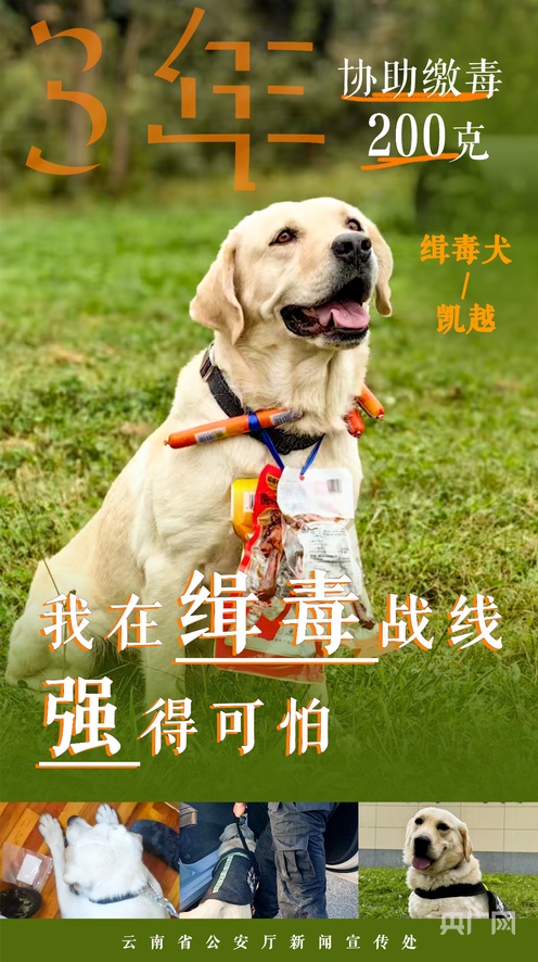 凝视电影未删减