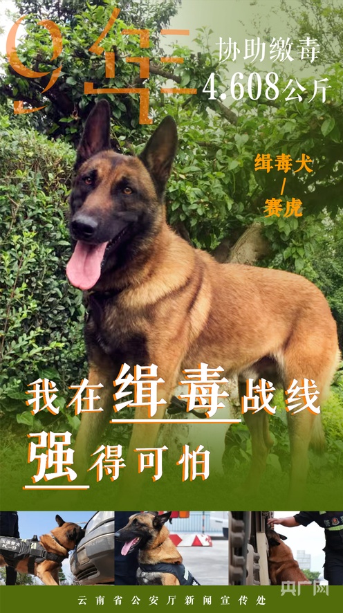 在线观看的免费视频