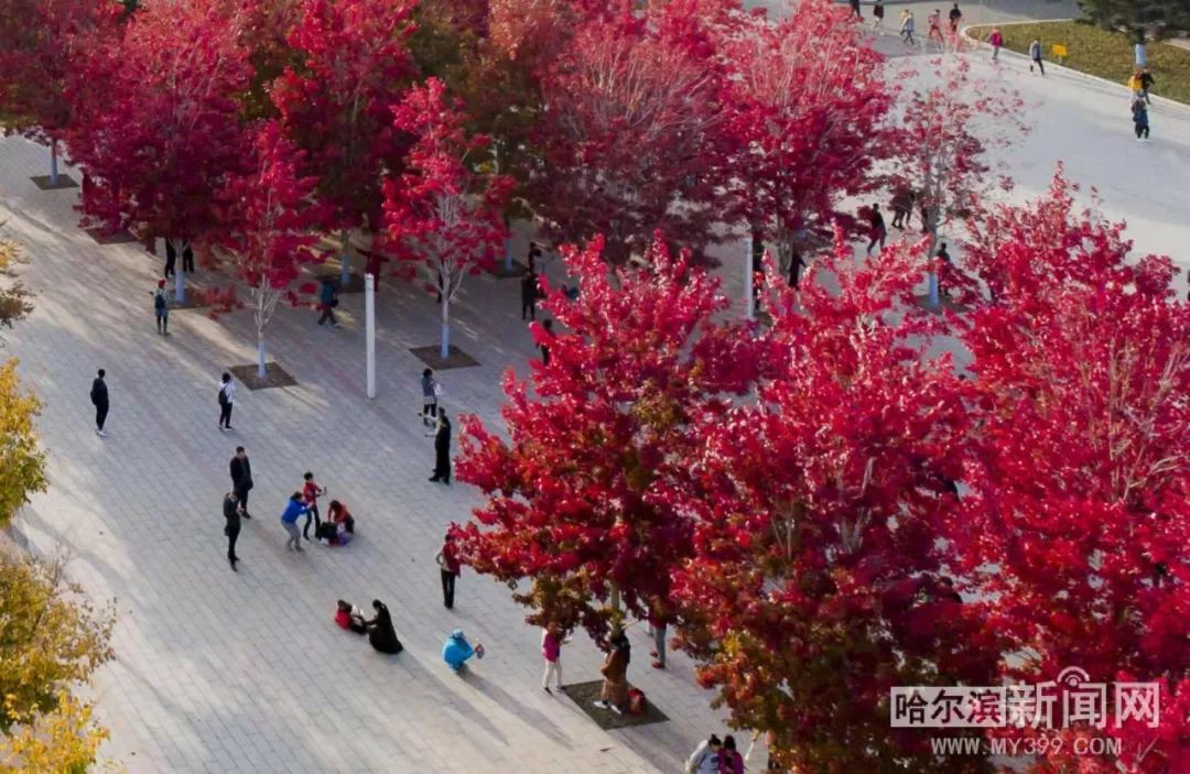 动漫改编，性器连接